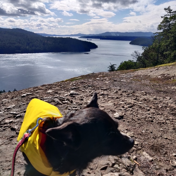 Meet your Posher, Marissa - Picture 1 of 1